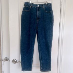 Everlane The Curvy Way High Jean size 31